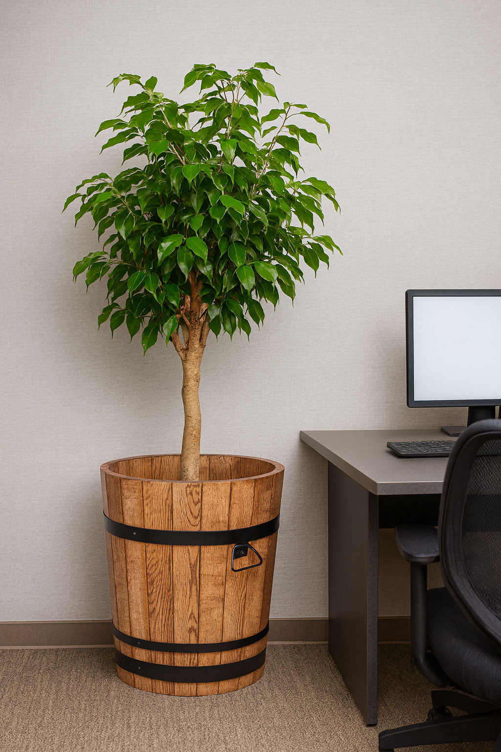 GRAND POT EN CHÊNE POUR PALMIER