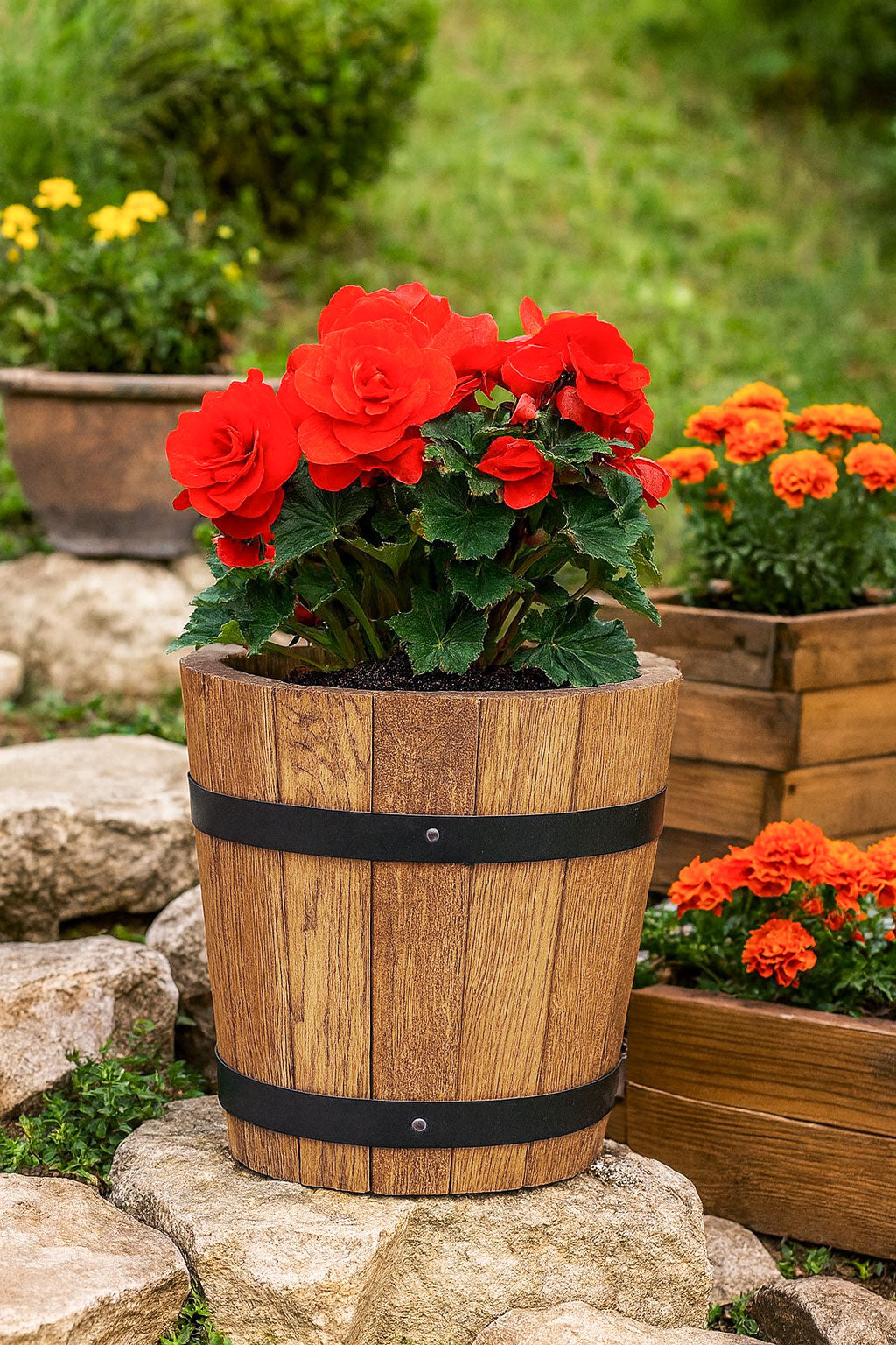 SMALL OAK POT FOR PALM TREE