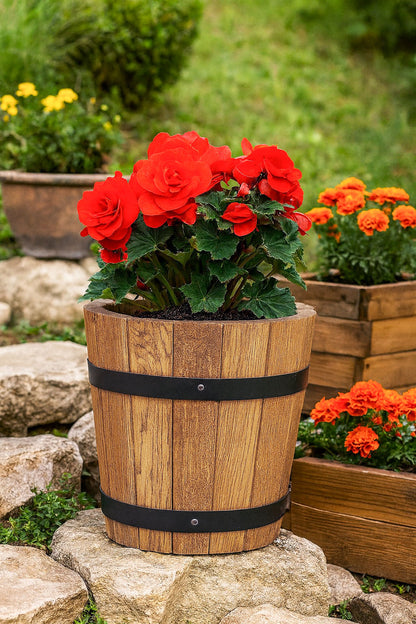 SMALL OAK POT FOR PALM TREE